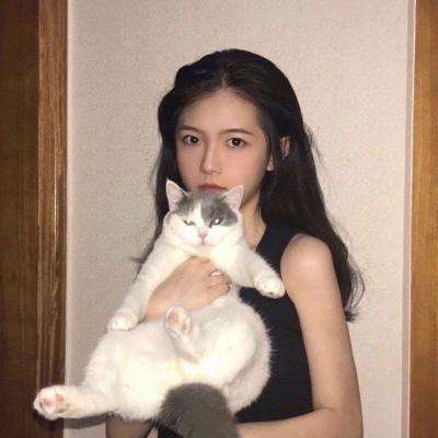 三国x萌将手游